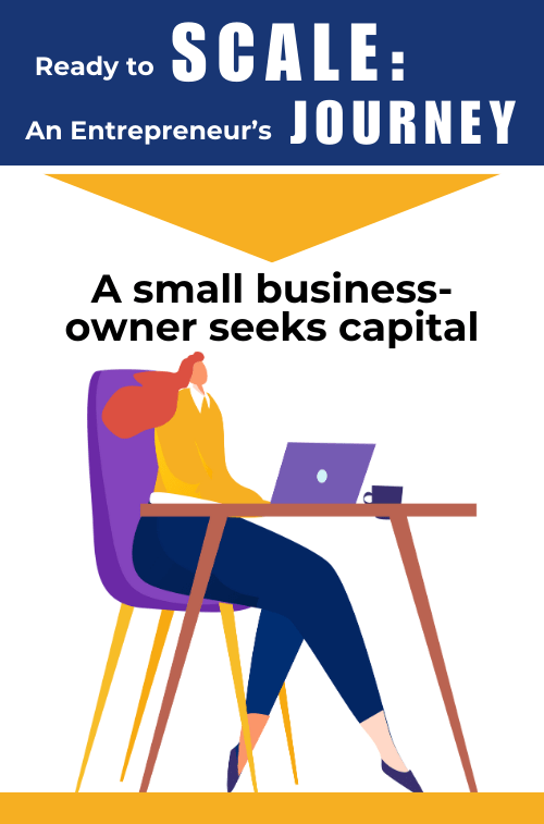 A small business owner seeks capital