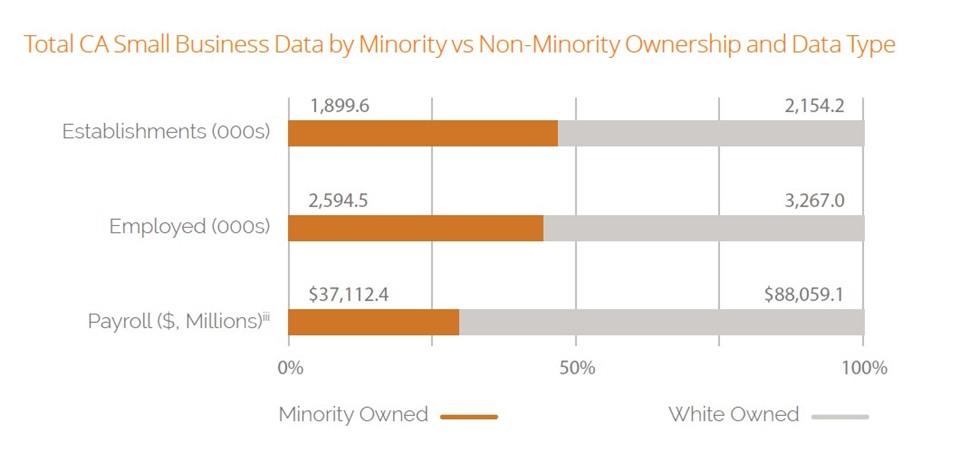 Minority vs Non-Minority Business Ownership table