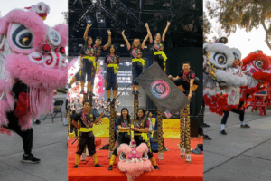 Novemberss lion dance 877x585