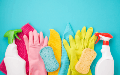 My Sons and Me Cleaning