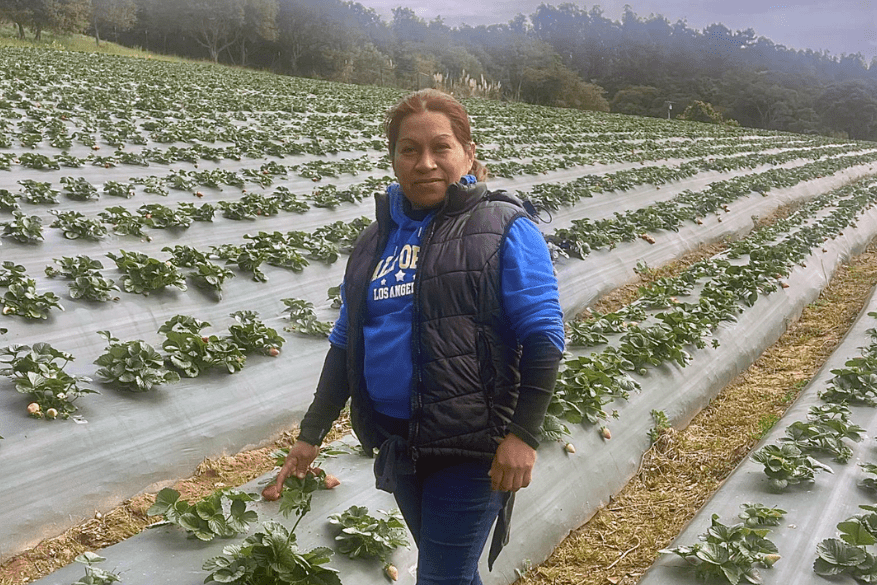 Antonia Vega Gonzalez, Dulce Organic Farms