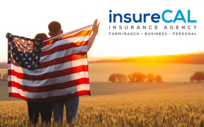 InsureCal Insurance Agency