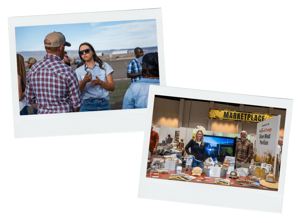 Polaroid template 2 Shasta Cascade NEW