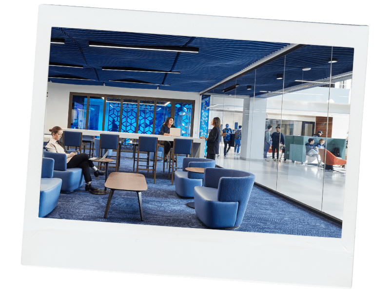 Single polariod the brink sbdc